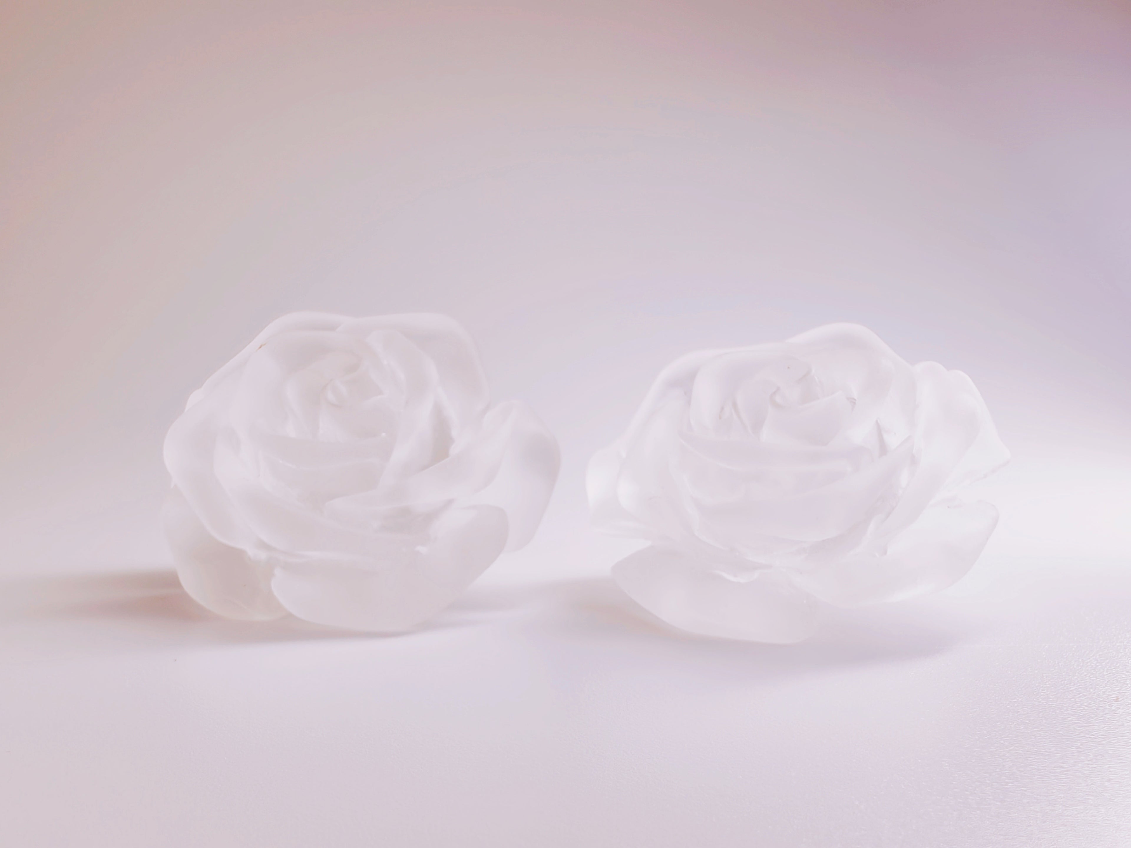 Ice Rose Matte Resin Stud Earrings